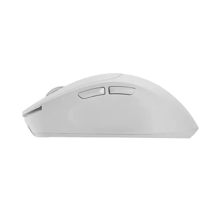 Chuột Không Dây Edra EM605W | Thiết Kế Công Thái Học - ảnh 12