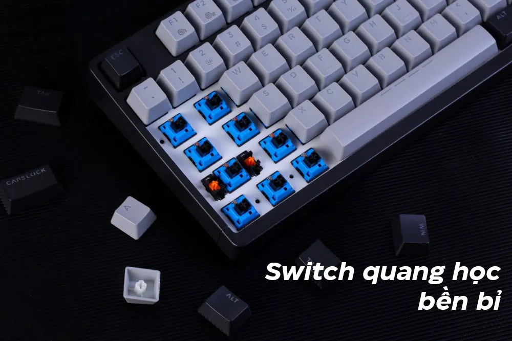 BÀN PHÍM QUANG CƠ DAREU EK1280X BLACK GREY OPTICAL SWITCH - ảnh 3