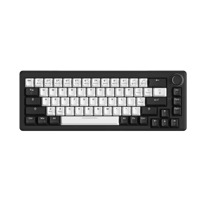 Bàn phím cơ Gaming DAREU EK65s Dream Switch - ảnh 6